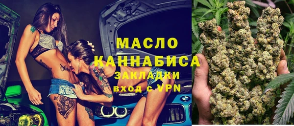 шишки Белокуриха
