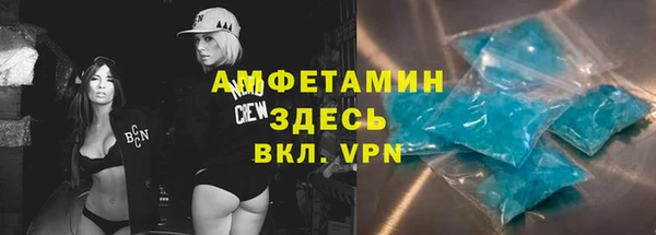 шишки Белокуриха