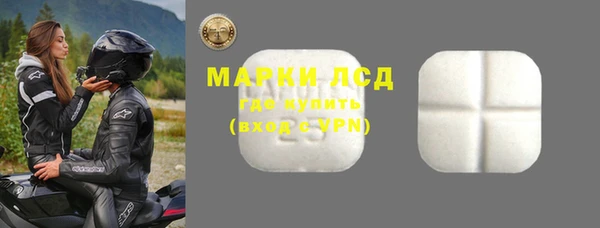шишки Белокуриха