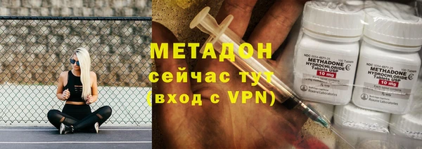 шишки Белокуриха