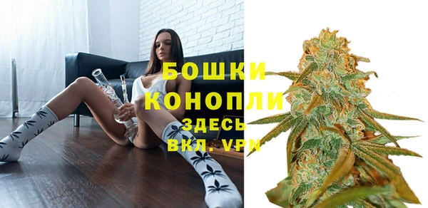 шишки Белокуриха