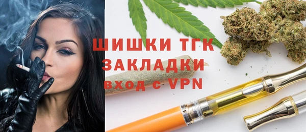 шишки Белокуриха