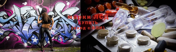 шишки Белокуриха