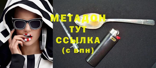 шишки Белокуриха