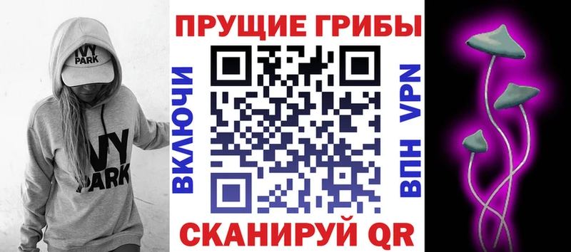 наркошоп  Кропоткин  Галлюциногенные грибы Psilocybe 